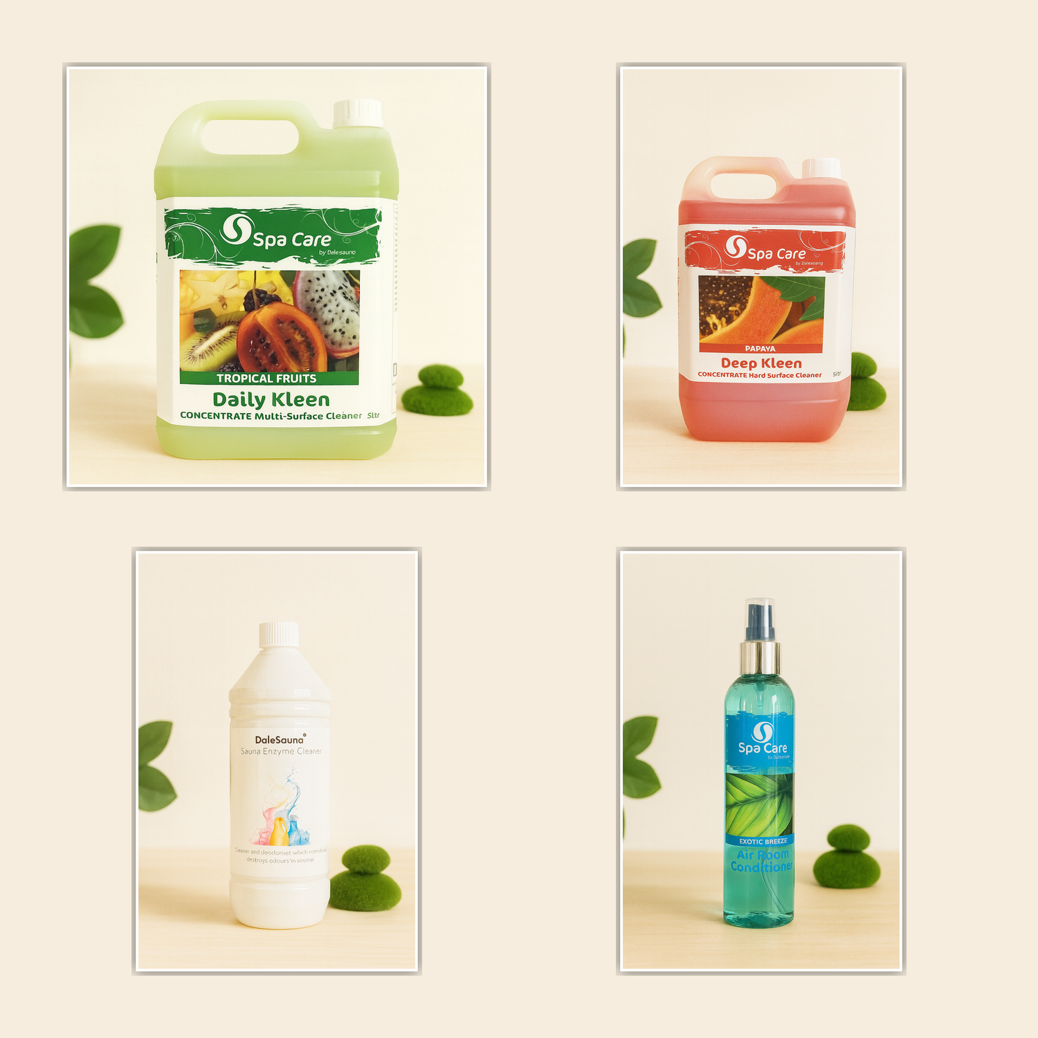 Cleaning Products